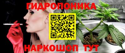 трава Новозыбков