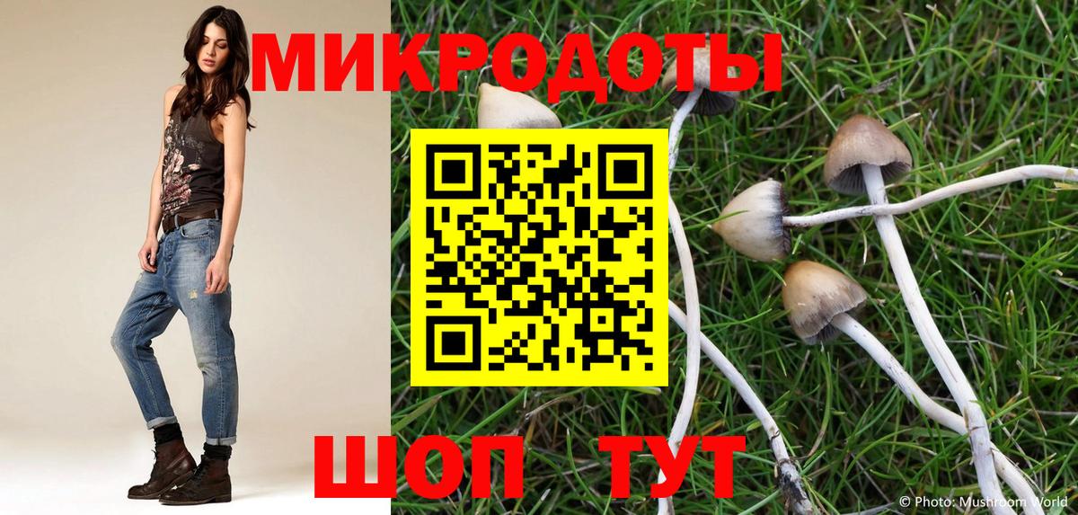 Галлюциногенные грибы GOLDEN TEACHER Чистополь
