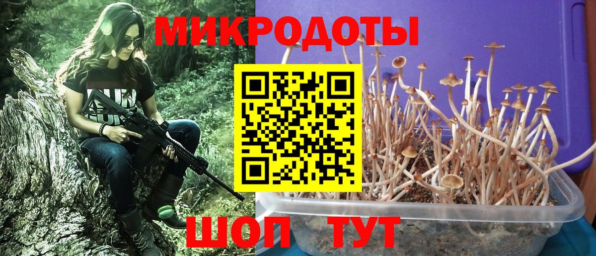 Чистополь  Галлюциногенные грибы Psilocybe  купить наркотики цена  Галлюциногенные грибы Cubensis  Вход с VPN 